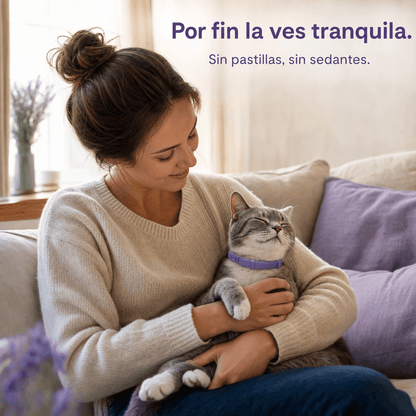 Collar calmante para gatos